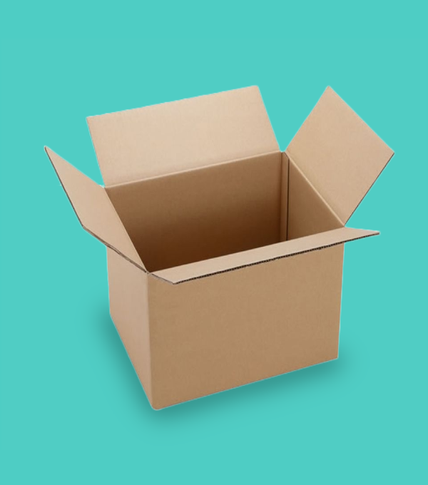 standard-box https://sgipt.co.id/wp-content/uploads/2023/06/standard-box.png